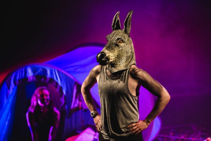 Bottom Midsummer Nights Dream Ballet