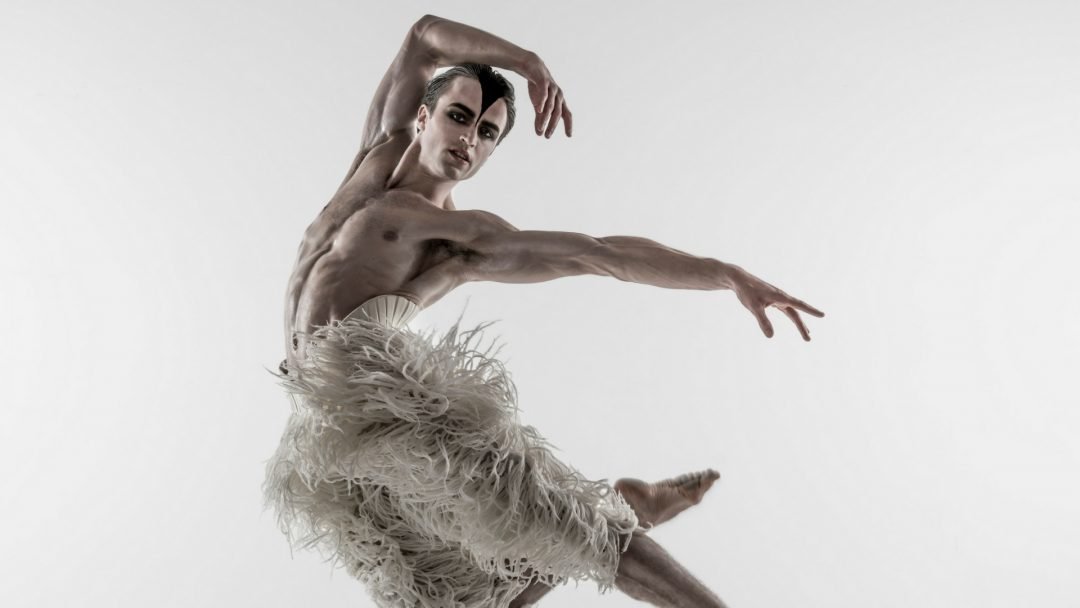 Cast Announced For Matthew Bourne s Swan Lake